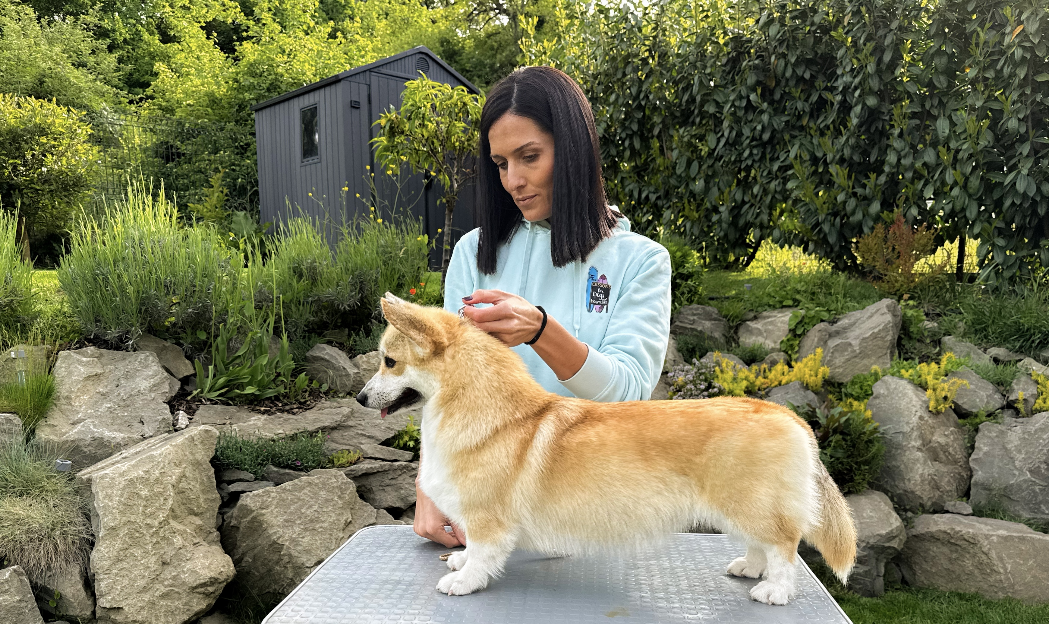 6586C014-E325-49BA-8486-3F6A3BD5461C 2