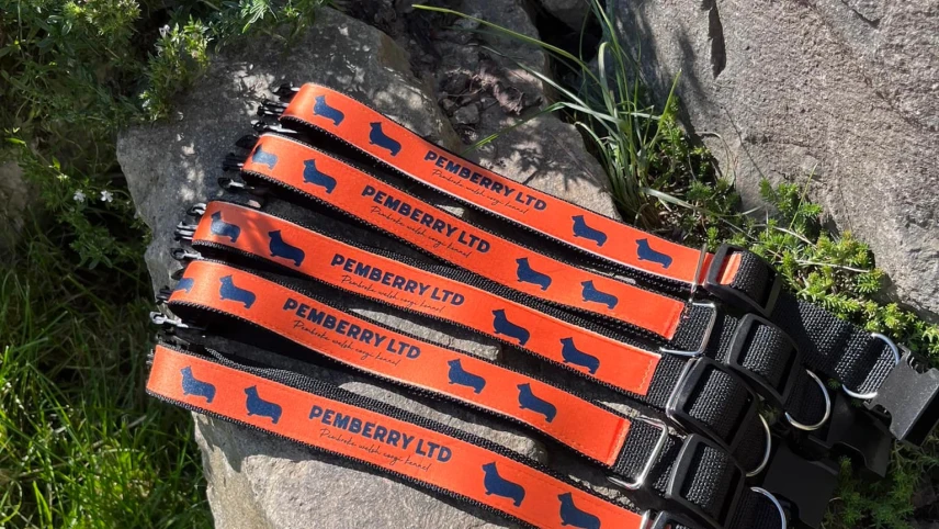 Pemberry LTD collars