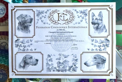 Celebrating Dusty the Inter Champion!